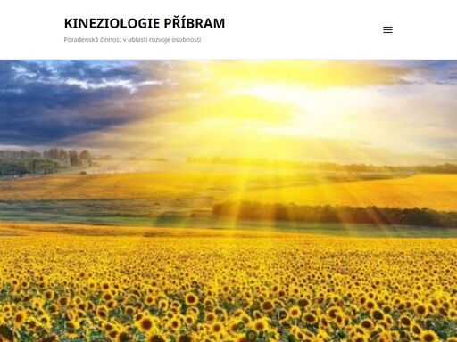 poradenská činnost v oblasti rozvoje osobnosti