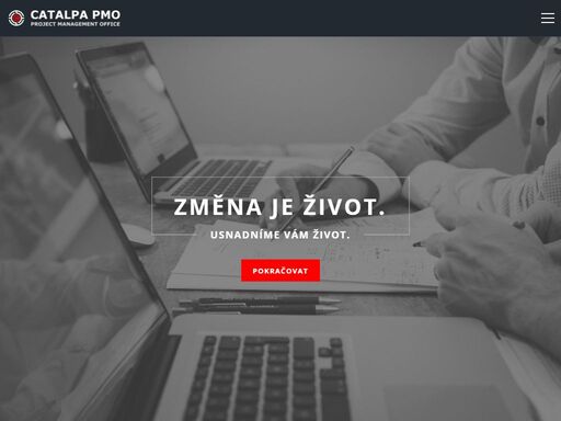projektové řízení