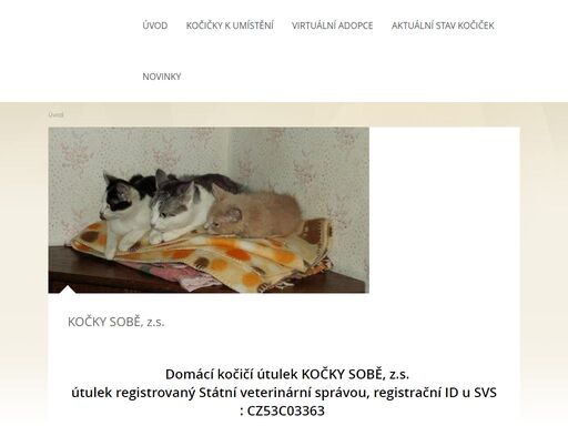 pomoc kočičkám