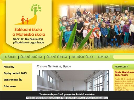 děčínská škola na pěšině je devítiletá základní škola. součástí školy na pěšině je družina a školní jídelna. ke škole patří také dvě mateřské školky - školka na pěšině a mateřská škola rudolfov.