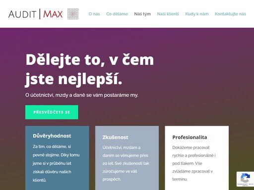 www.auditmax.cz