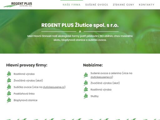 www.regentplus.cz