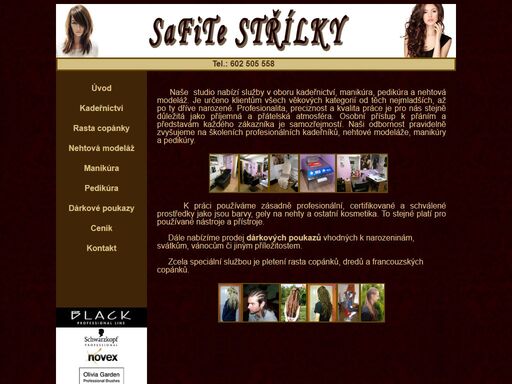 www.safite.cz