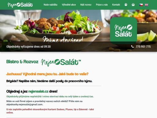 nejen salát | objednej online - jídlo365.cz