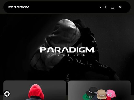 www.paradigm.cz