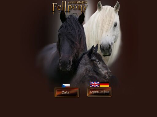 fellpony - fellský pony goodshape