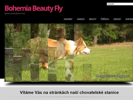 beautyfly.cz