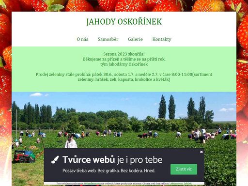 jahody-oskorinek.unas.cz, jahodárna, samosběr jahod, oskořínek, jahody, zelenina,zelí, květák, bokolice, kapusta, hrášek 