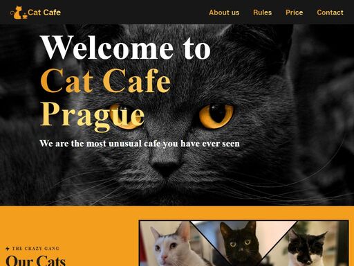 www.catcafeprague.com