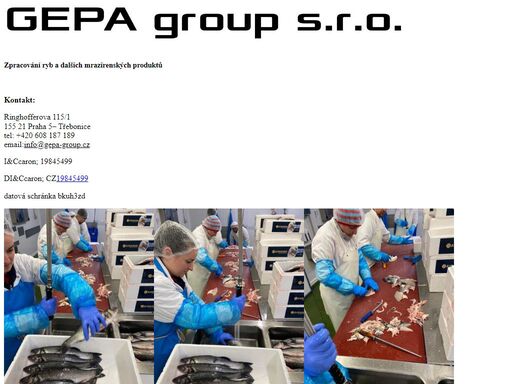 www.gepa-group.cz