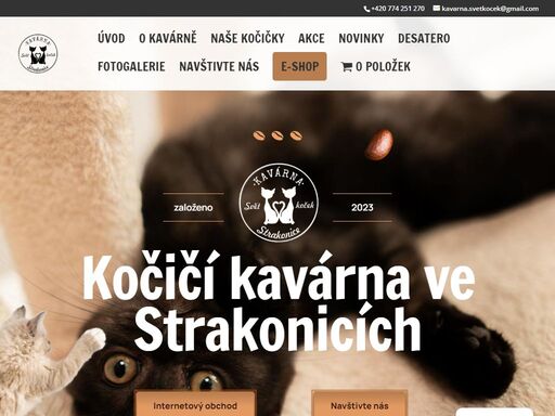 navštivte naši kočičí kavárnu ve strakonicích a užijte si nezapomenutelný zážitek s našimi roztomilými kočičkami. relaxujte v útulném prostředí, vychutnejte si lahodné kávy a dezerty. ideální místo pro milovníky koček!
