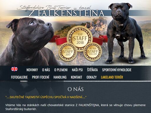staffordšírský bulteriér; z falkenštějna