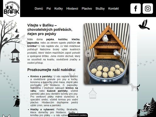 bafikhk.cz