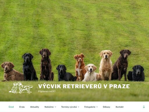 výcvik retrieverů v praze