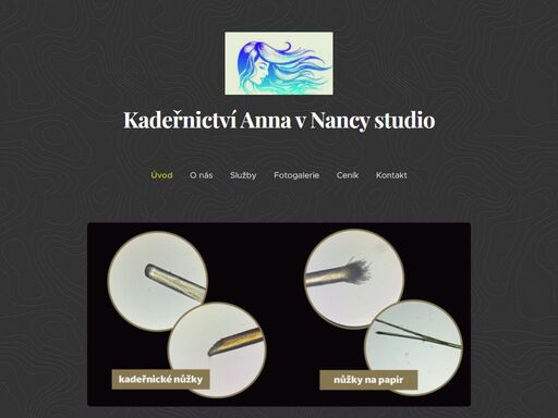 od prosince 2023 se nacházím v srdci slavkova u brna na příjemném a klidném místě - nancy studio, kde pracuji s kvalitní italskou vlasovou kosmetikou kyo a nyce. dále také s olaplex, malibu c a k18.