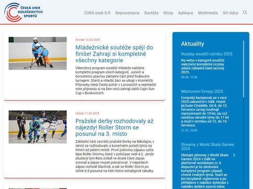 česká asociace inline hokeje