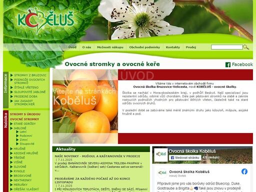 koběluš, ovocná školka, ovocná školka bruzovice-velicesta, ovocné školky, e-shop, ovocné stromy