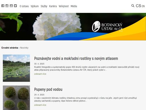 www.ibot.cas.cz