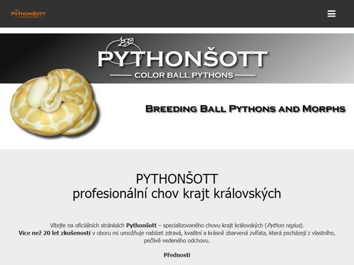 krajta královská prodej, prodej krajty královské, krajta královská okr. beroun, python regius - krajta královská, chov a prodej krajta královská, krajta královská chov a prodej, krajta královská nabídka, prodej krajta královská, prodej python regius