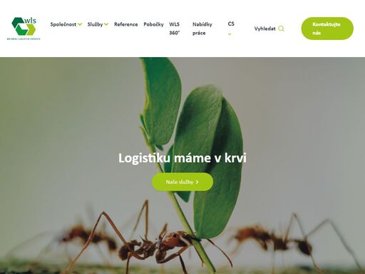 wls je středně velká společnost poskytující logistické služby v oblasti copackingu, skladování a distribuce. díky více než 65letým zkušenostem jsme vaším spolehlivým logistickým partnerem. 