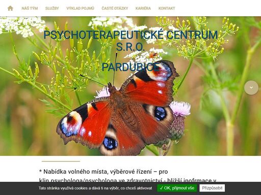 psychologove.cz