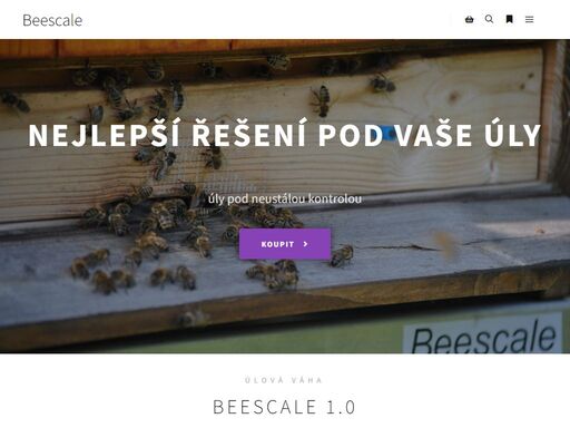 www.beescale.cz