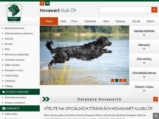 www.hovawart.cz