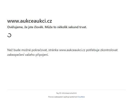 www.aukceaukci.cz