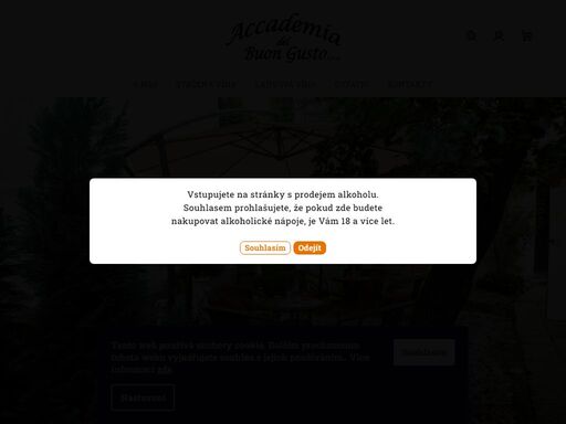 www.accademia.cz