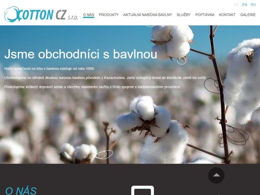 www.cotton.cz