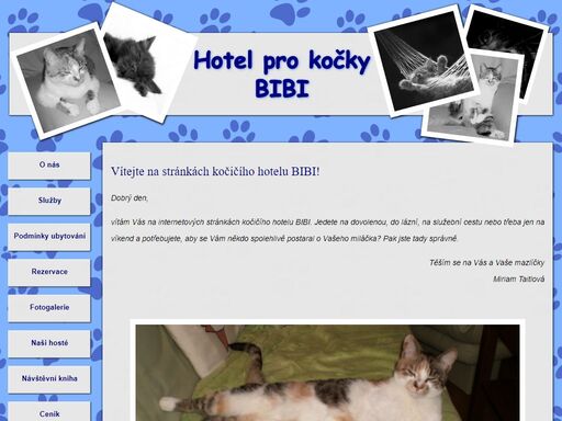 hotel bibi je kočičí hotel, který se postará o vaše čtyřnohé kočičí miláčky v době vaší nepřítomnosti.