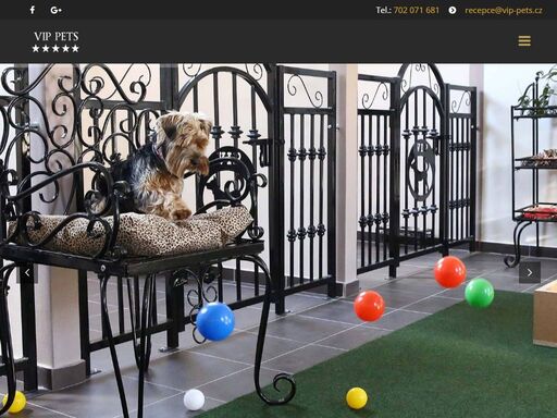 psí hotel vip pets nabízí příjemné prostředí, komfortní ubytování, školený personál a spoustu psích kamarádů nejen v psím hotelu, ale i v denní školce.