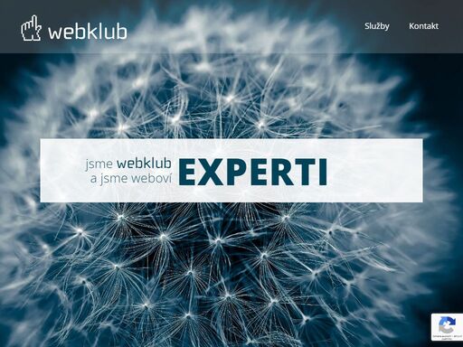 tvoříme internetové aplikace a webové stránky, které přináší výsledky. díky kvalitní optimalizaci pro vyhledávače (seo) a promyšlenému internetovému marketingu, jsou naše řešení účinná.