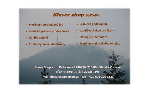vyvíjíme webové stránky, e-shopy, mobilní aplikace, programujeme informační systémy. zabezpečujeme: seo, ppc, správa domén, webhosting.