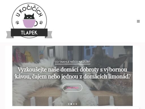 první kočičí kavárna v kladně u kočičích tlapek na náměstí starosty pavla. je domovem desítičlenné kočičí smečky. ideální místo pro odpolední kávu či pozdější snídaní. v nabídce neustále čerstvé domácí koláče, dorty, výborná káva, skvélé domácí limonády a příjemná obsluha.