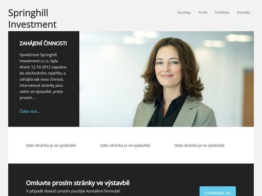 investice do projektů informačních technologií