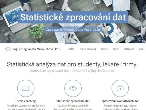 statistické zpracování dat, konzultace a doučování