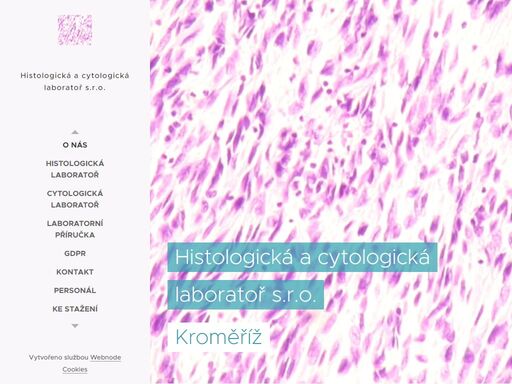 provádíme kompletní bioptickou a cytologickou diagnostiku včetně gynekologické cytologie pro státní i nestátní zdravotnická zařízení.
