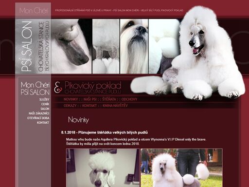 chovatelská stanice pikovický poklad - velký bílý pudl / psí salon mon chéri v jílové u prahy- stříhání psů