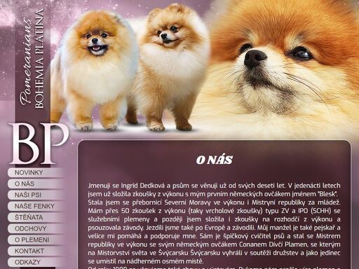 pomeranian bohemia platina