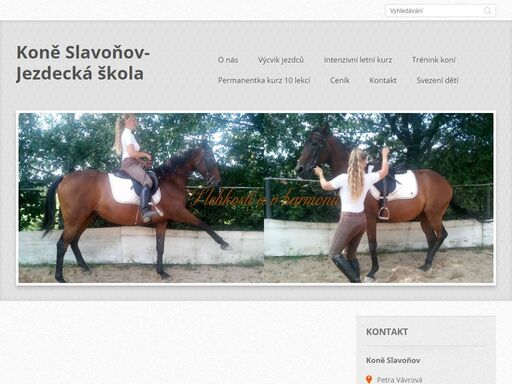 svezení dětí, výcvik jezdců, trénink kone