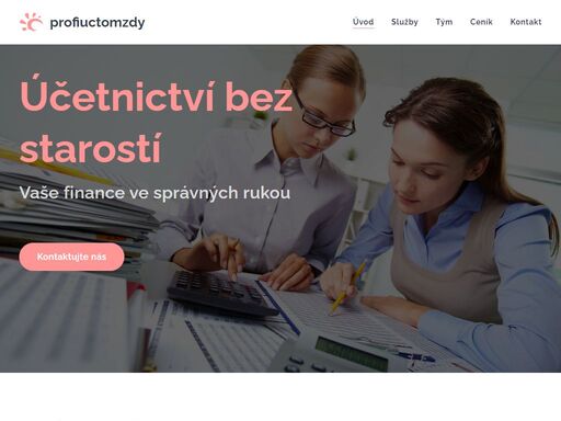 www.profiuctomzdy.cz