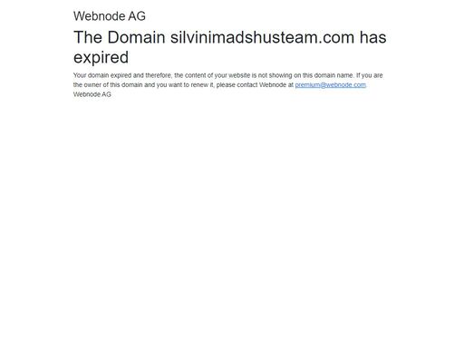 www.silvinimadshusteam.com