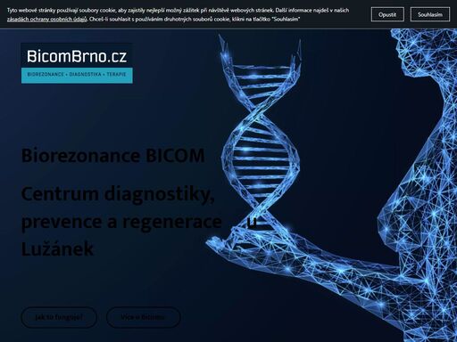 www.bicombrno.cz