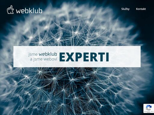 www.web-klub.cz