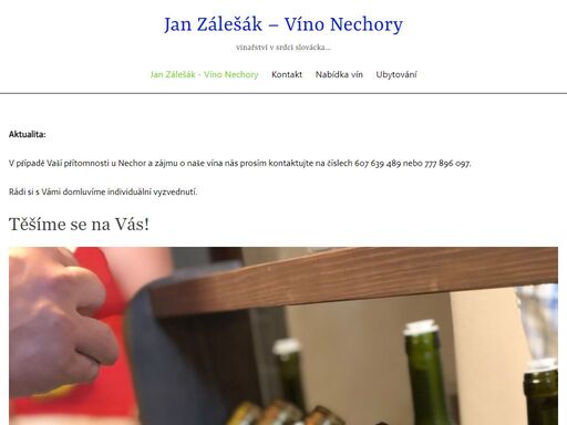 www.vino.nechory.cz