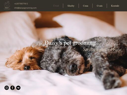 stříhání a trimování psů | daisy’s pet grooming | hlavní město praha