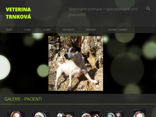www.veterina-ocni.cz