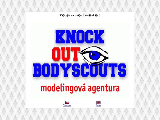 www.bodyscouts.com