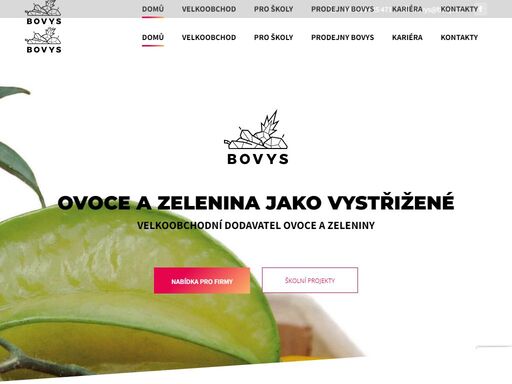 www.bovys.cz
